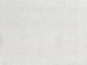 RAFAELO_01-1-scaled-1
