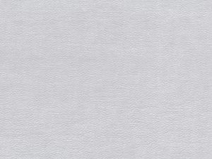 RAFAELO_16-1-1-scaled-1