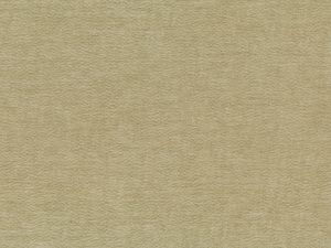 RAFAELO_24-1-1-scaled-1