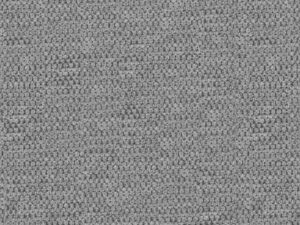 Mons_116-1